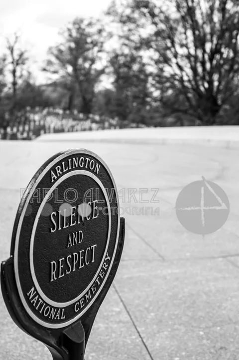 Washington 216