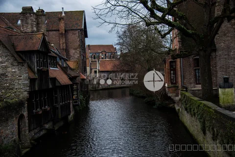 Bélgica 239