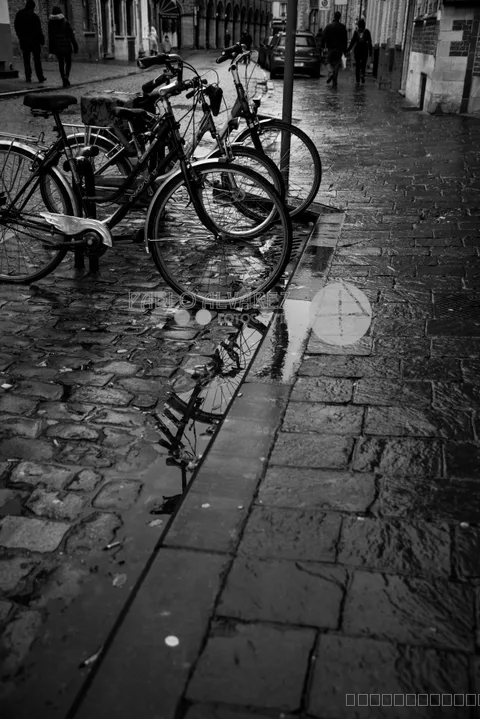 Bélgica 235