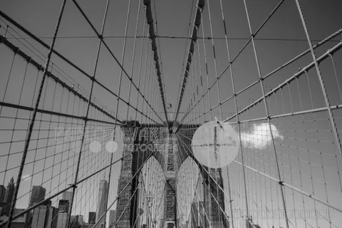 Nueva York 102